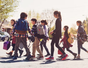 school-transportation-box